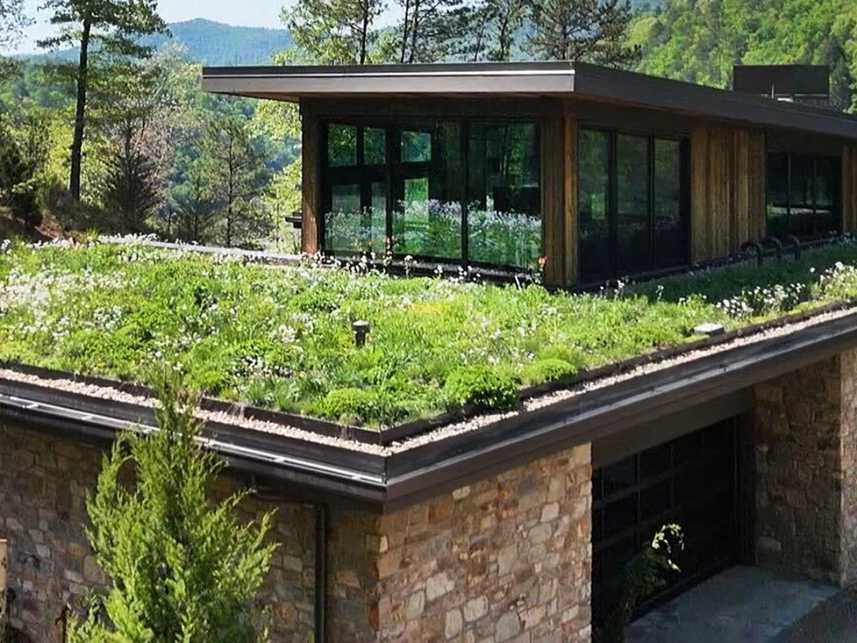 Atap datar pada rumah berdesain modern yang sepenuhnya ditutupi oleh hamparan tanaman hidup dan rumput hijau