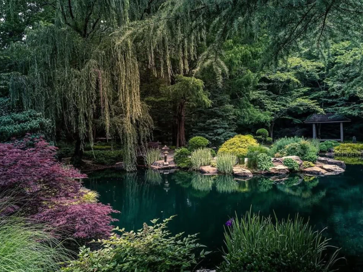 Taman Jepang minimal dengan batu besar, kerikil putih, dan komposisi tanaman yang rapi.