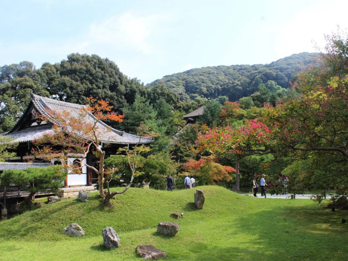 Taman Jepang klasik dengan kolam, jembatan kecil, dan pepohonan hijau yang rimbun.