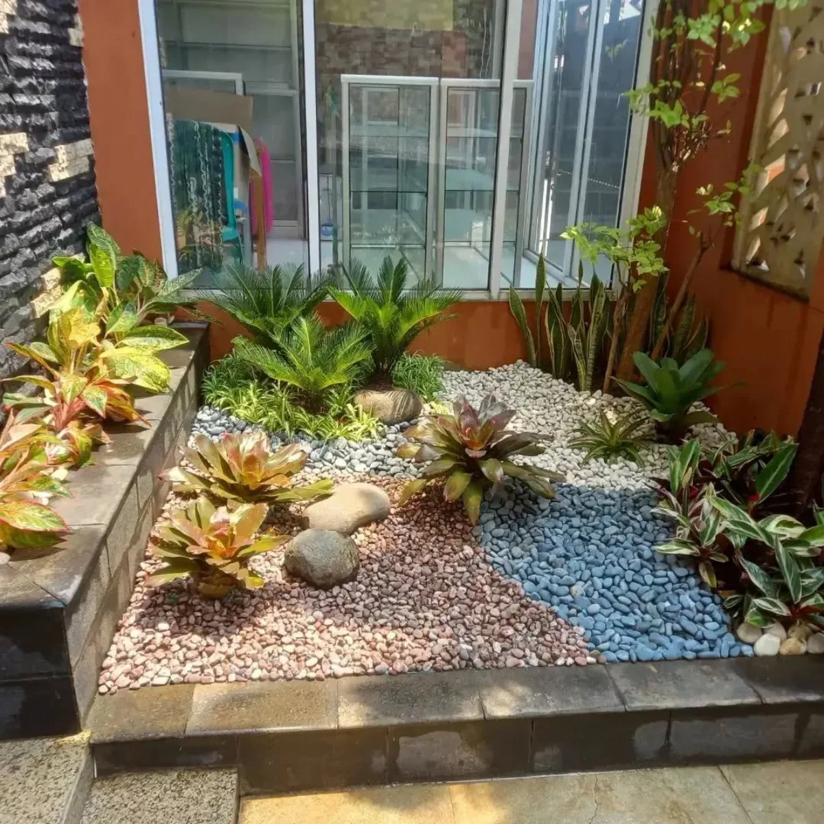 Desain taman kering sudut ruangan (corner garden) dengan pola batu koral hias warna-warni, dikombinasikan dengan tanaman sikas, bromelia, dan aglaonema yang asri.