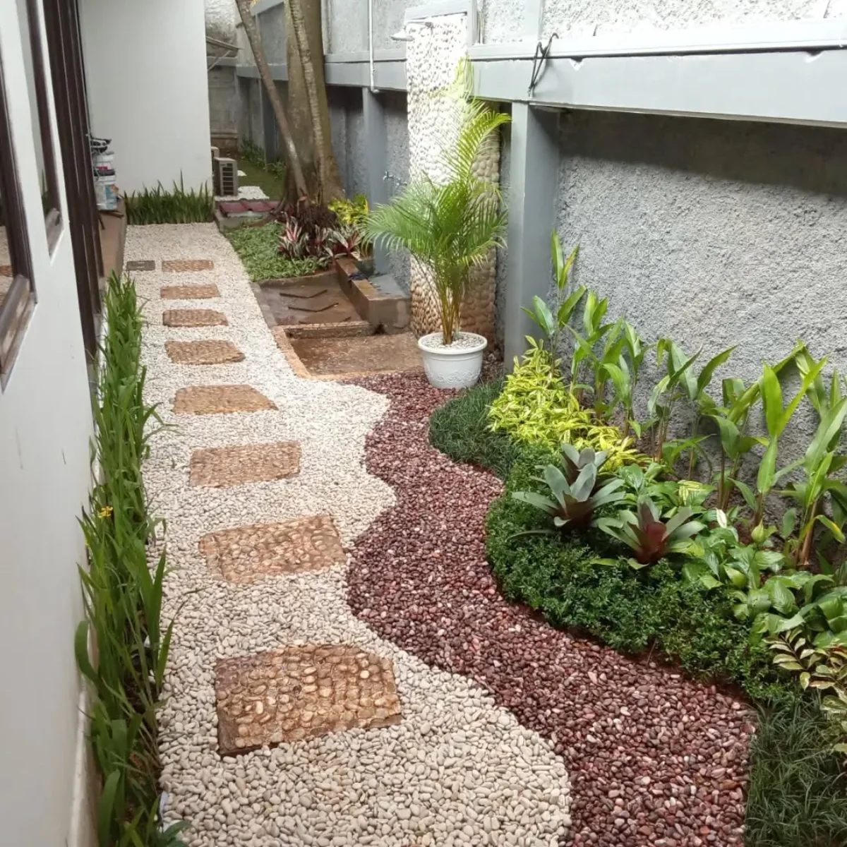 Ide taman kering lorong samping rumah (side yard) dengan jalan setapak batu sikat dan pola hamparan batu koral tabur merah putih gaya gelombang.