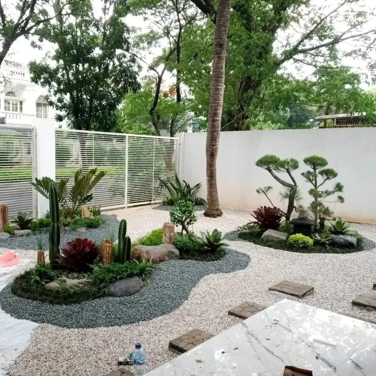 Desain taman kering halaman luas dengan pola jalan setapak batu koral sikat abu-abu dan putih, dihiasi tanaman bonsai artistik dan bromelia di area terbuka.
