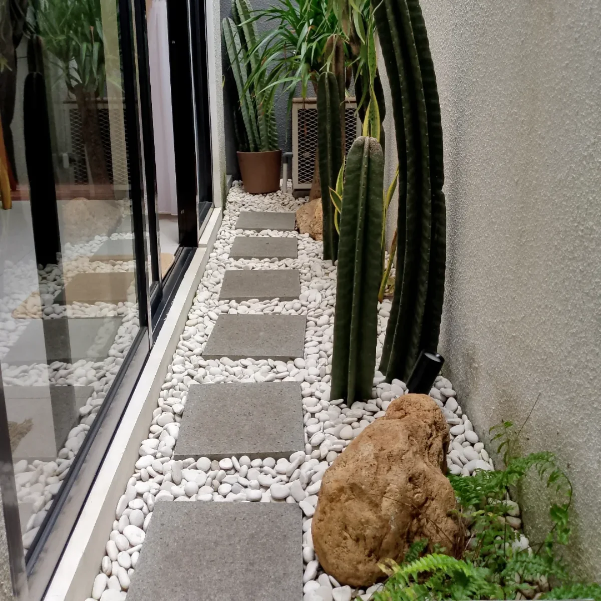 Taman kering samping rumah (side yard) bergaya modern dengan deretan kaktus kobo tinggi, batu kali besar sebagai aksen, dan jalan setapak minimalis.