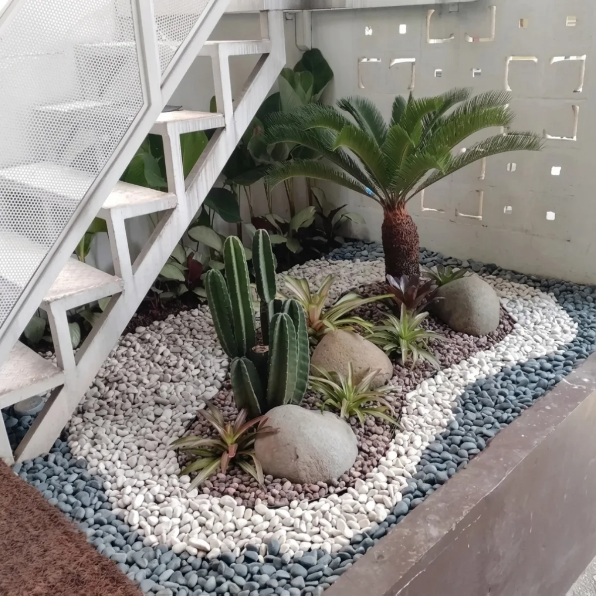 Ide taman kering bawah tangga (under stairs garden) dengan tanaman sikas dan kaktus, dihiasi pola lapisan batu koral hias tiga warna yang rapi.