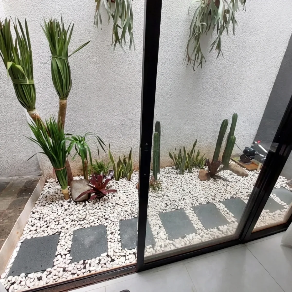 Inspirasi taman kering indoor minimalis di area sempit dengan hamparan batu putih, stepping stone persegi, tanaman hias vertikal, dan paku tanduk rusa gantung.