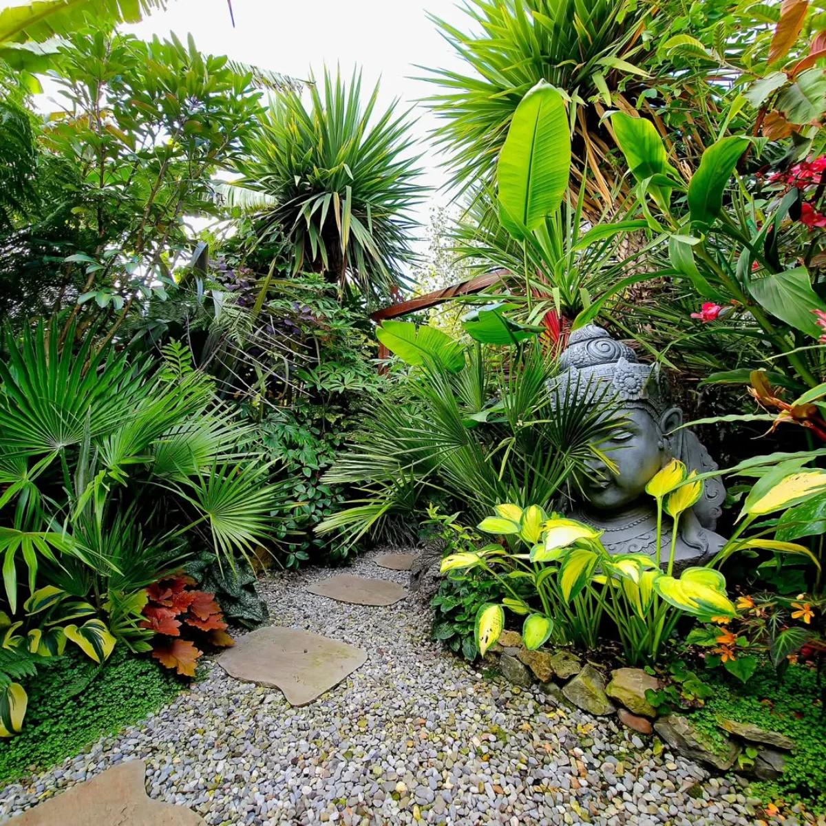 Patung kepala Buddha batu berwarna abu-abu yang tersembunyi di antara rimbunnya tanaman palem dan Hosta berdaun variegata di taman tropis.