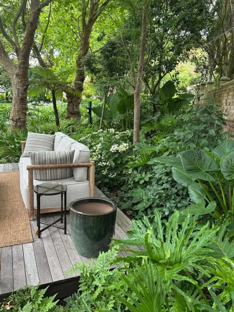Area santai taman tropis yang teduh dengan sofa abu-abu di atas lantai dek kayu, dikelilingi tanaman kuping gajah (Alocasia) dan pepohonan rimbun.