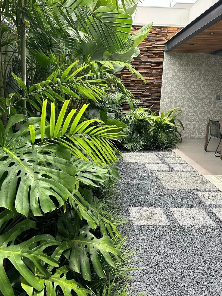 Desain taman tropis samping rumah dengan monstera, palem, dan jalan setapak kerikil bernuansa alami