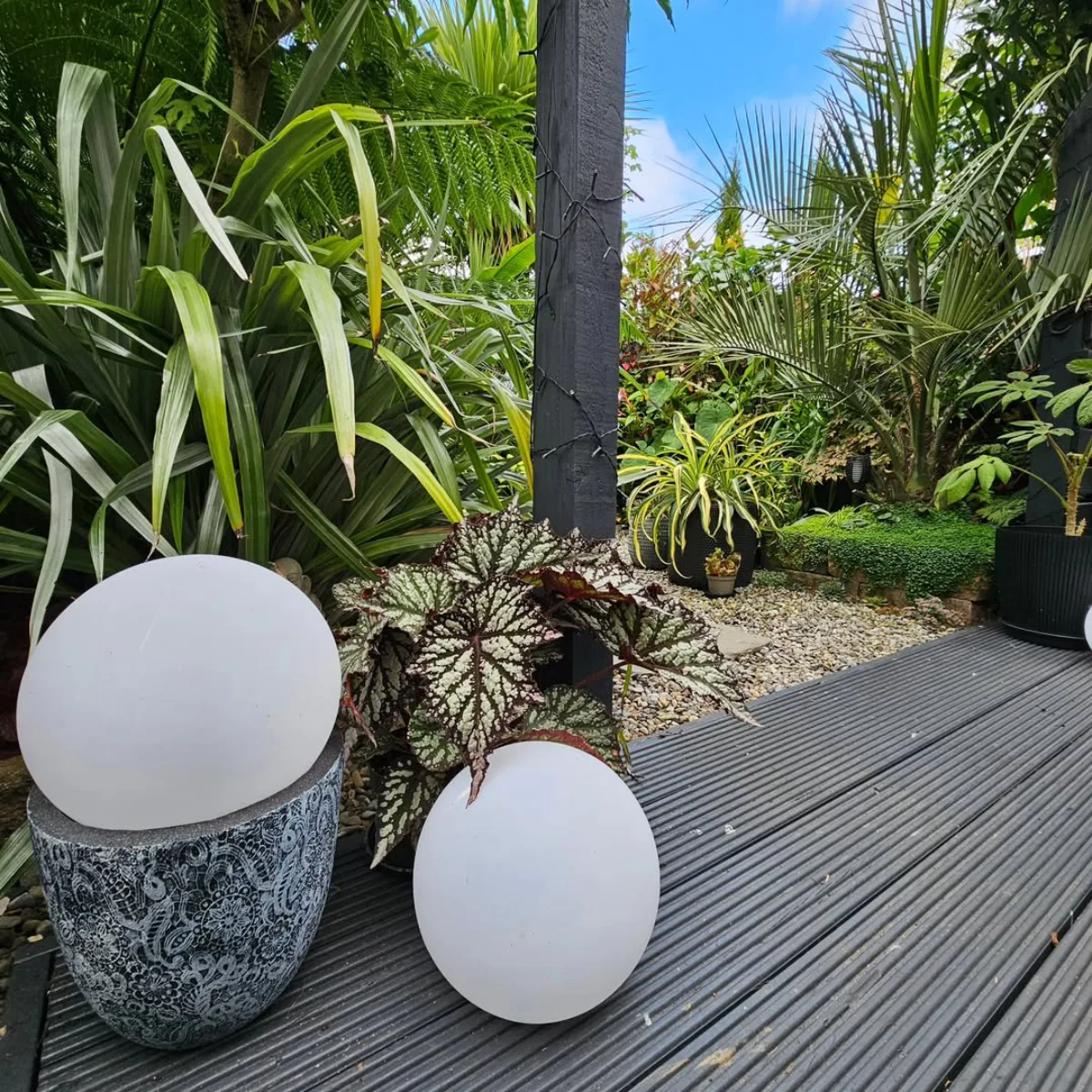 Detail sudut teras modern dengan lantai dek komposit, pot tanaman Begonia Rex bermotif perak, dan lampu taman bentuk bola putih minimalis.