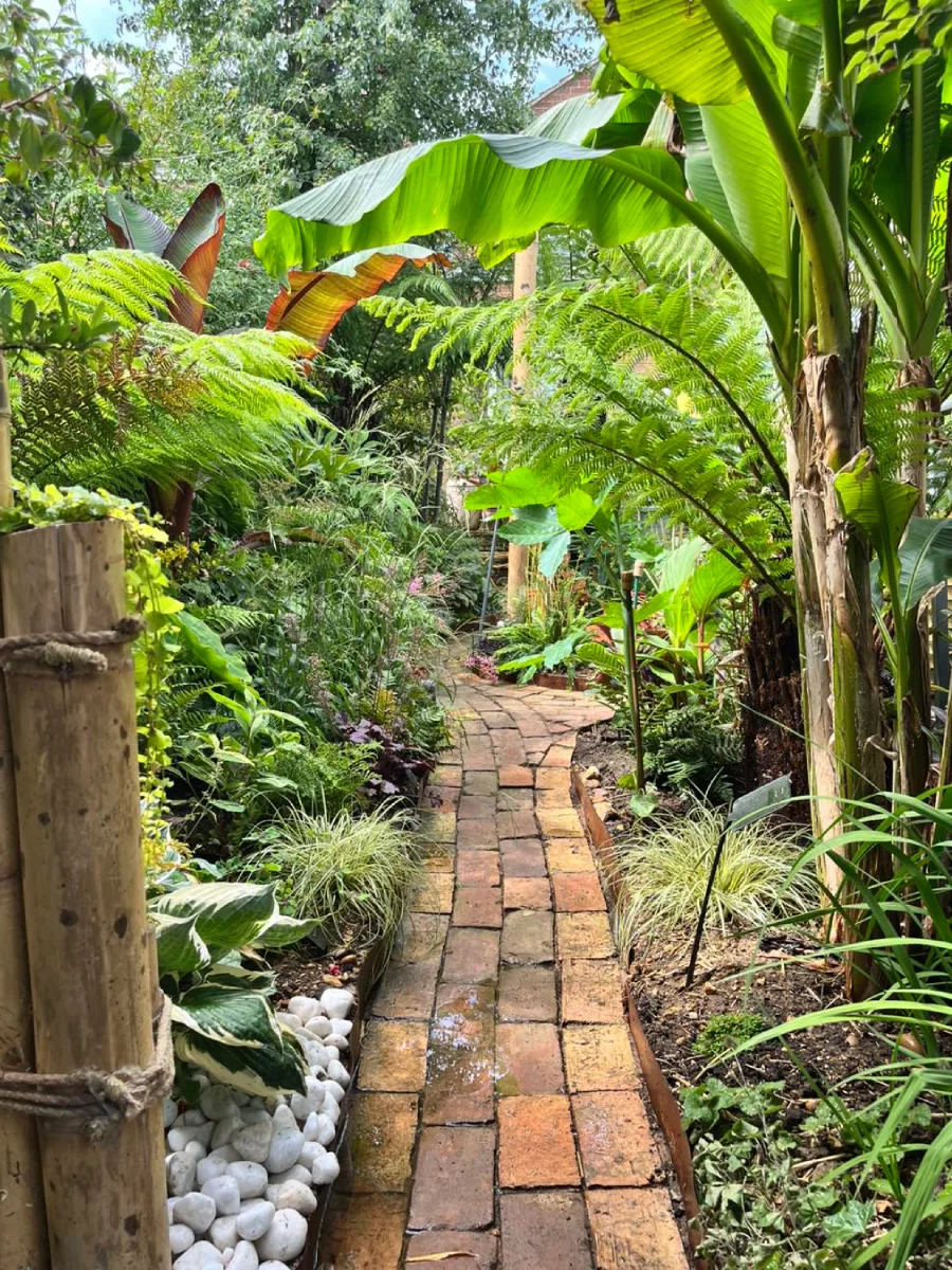 Jalan setapak dari susunan batu bata merah bergaya rustic yang dinaungi oleh daun pisang hias raksasa dan pagar bambu alami.