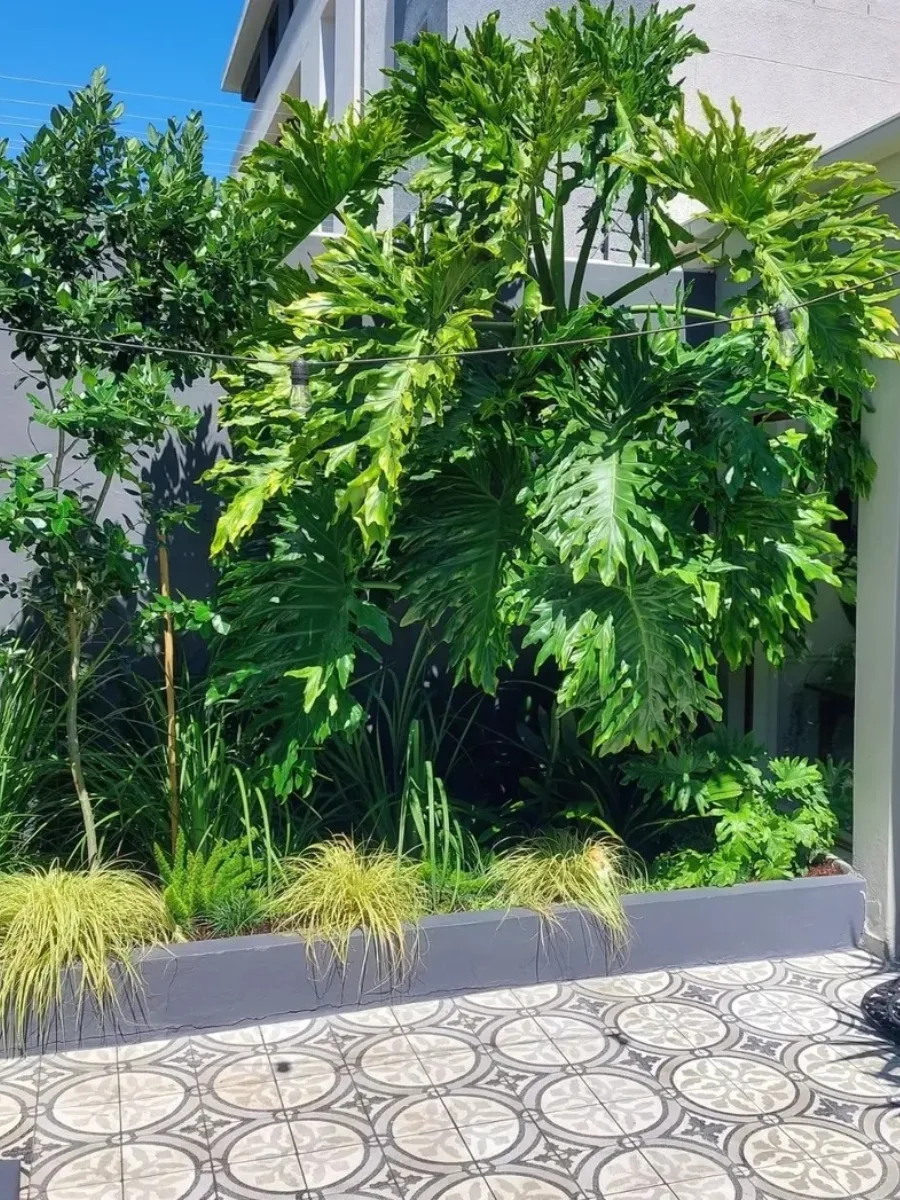Teras mungil dengan lantai keramik bermotif klasik dan raised bed (bak tanaman) beton berisi Philodendron jari raksasa dan lampu gantung taman.