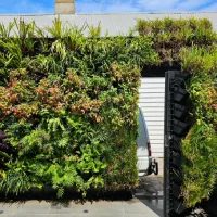 Taman vertikal lebat di dinding luar rumah dengan berbagai tanaman hijau dan berwarna, menutupi pagar dan membingkai area masuk garasi.