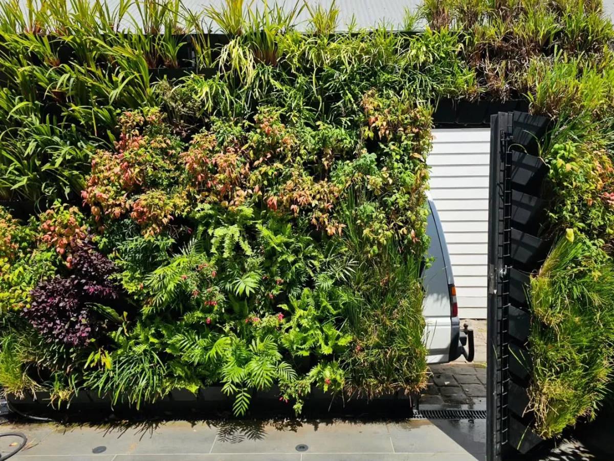 Taman vertikal lebat di dinding luar rumah dengan berbagai tanaman hijau dan berwarna, menutupi pagar dan membingkai area masuk garasi.