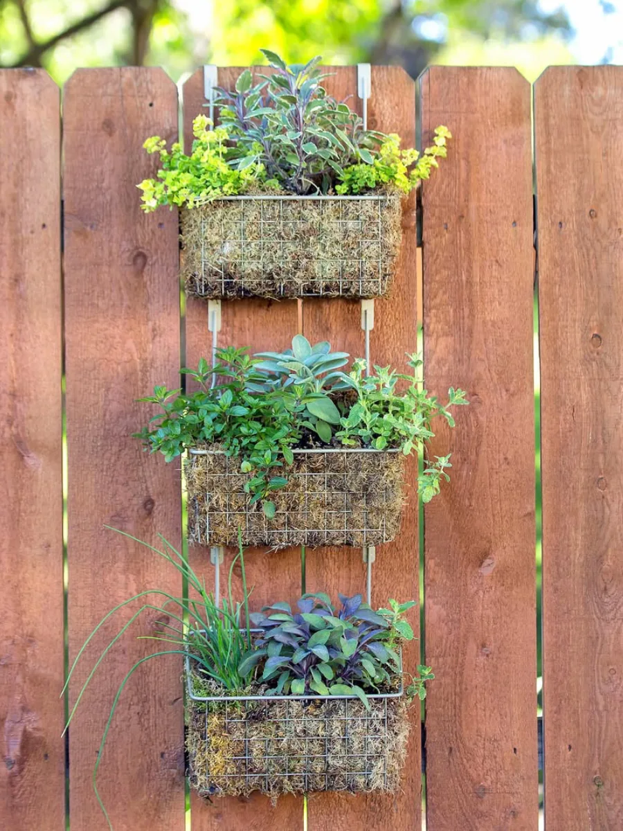 Tiga pot taman vertikal berbahan kawat dan serat alami berisi tanaman herbal dan sukulen, digantung pada pagar kayu luar ruangan.