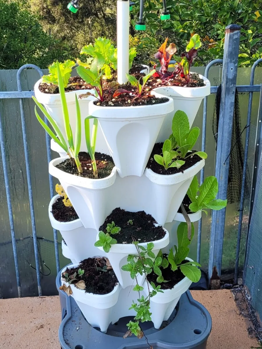 Pot bertingkat berbentuk menara dengan tanaman sayuran muda dan herba hijau yang tumbuh di tiap sisi.