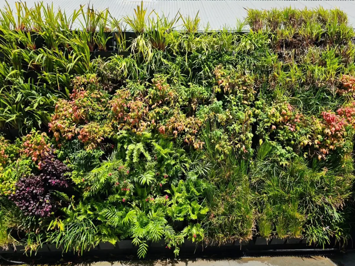 Rak gantung berisi tiga pot tanaman hijau, dipasang pada dinding interior berwarna putih dengan gaya minimalis.