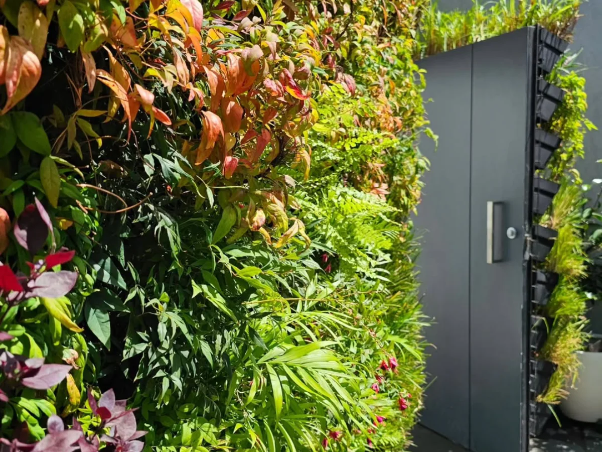 Dinding hijau vertikal penuh tanaman tropis rimbun dengan berbagai warna daun, dipasang di area outdoor dekat pintu abu-abu modern.