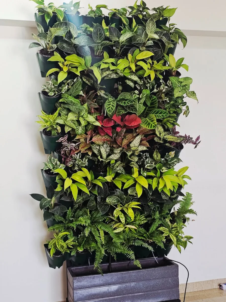 Rak taman vertikal indoor berisi berbagai tanaman hias hijau dan berwarna, tersusun rapat dari atas ke bawah di dalam pot-pot kecil.