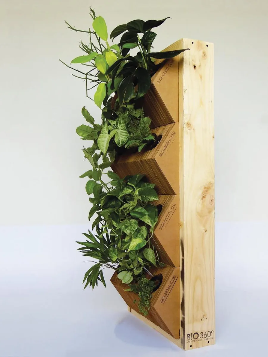 Panel taman vertikal dari kayu dengan beberapa tanaman hias bertingkat yang tumbuh keluar dari slot berbentuk segitiga.