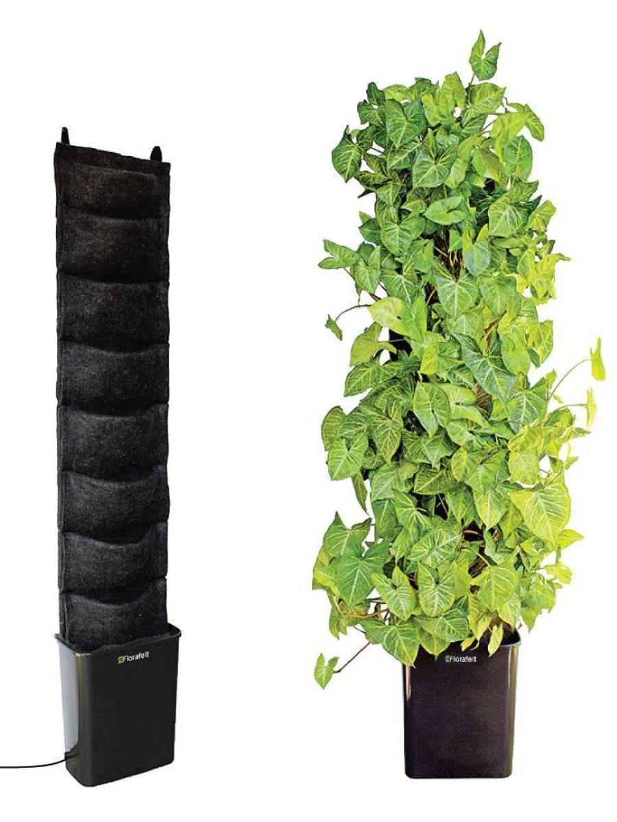 Perbandingan modul taman vertikal: rangka pot vertikal kosong di kiri dan modul dengan tanaman rambat hijau rimbun di kanan.