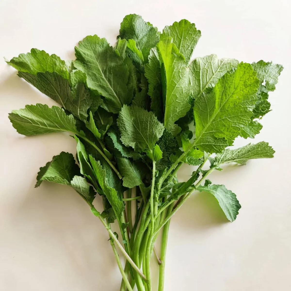 Sayur sawi segar.